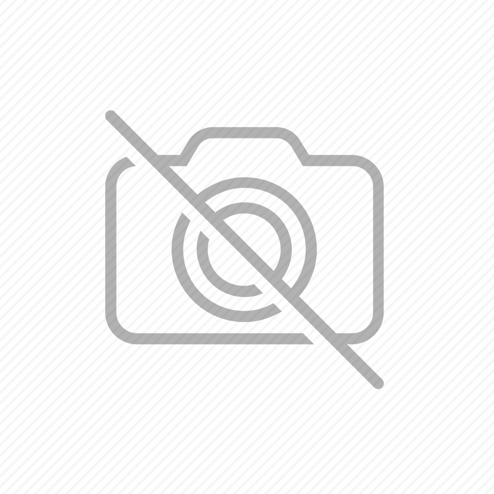 2023 年 3 月遊客統計